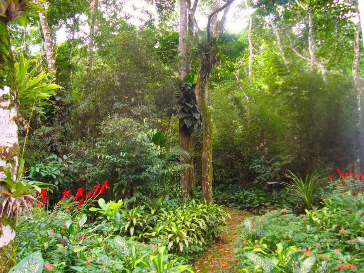 Eco-Flats Cachoeira Azul パラチ エクステリア 写真